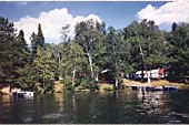 Our Shoreline from the Lake