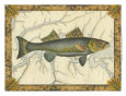 Walleye on Map
