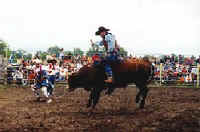 Photo: The Rodeo