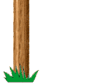 woodvnbottom.gif (4095 bytes)